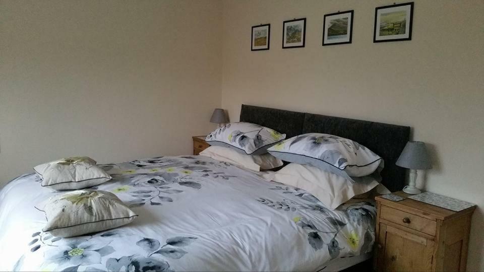 Bro Dafydd Panzió Aberystwyth Kültér fotó